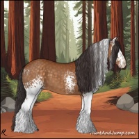 Horse Color:White Spotted Buckskin