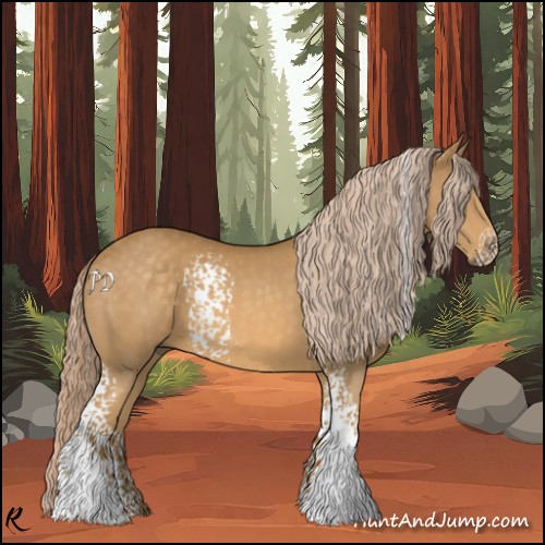 Horse Color:White Spotted Palomino 