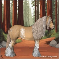 Horse Color:White Spotted Palomino 