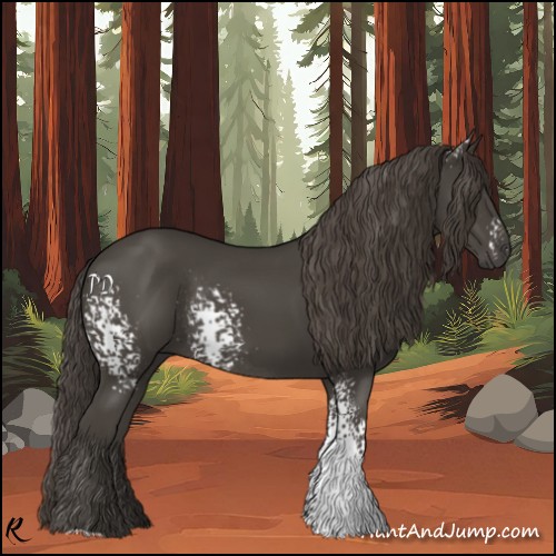 Horse Color:White Spotted Smoky Black Rabicano 