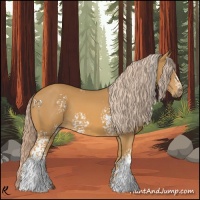 Horse Color:White Spotted Palomino 