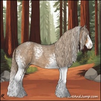 Horse Color:White Spotted Chocolate Palomino Roan Splash 