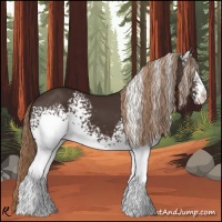Horse Color:White Spotted Liver Chestnut 