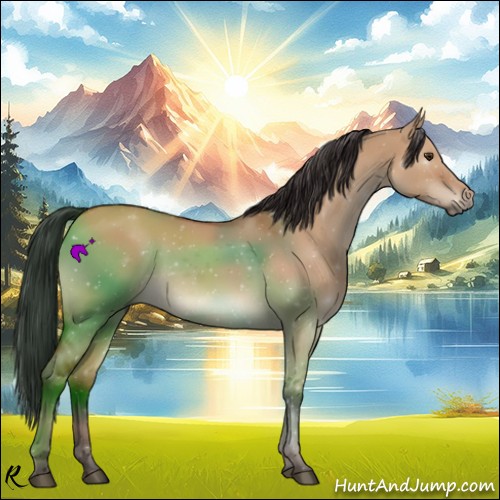 Horse Color:Bay Dun