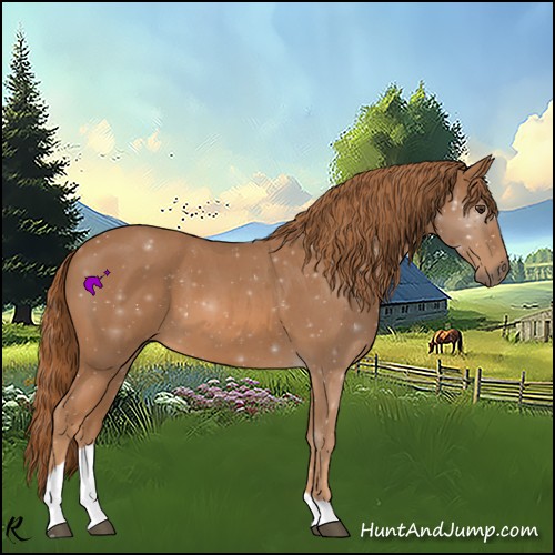 Horse Color:Red Roan Tobiano