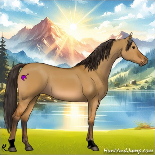 Horse Color:Bay Dun