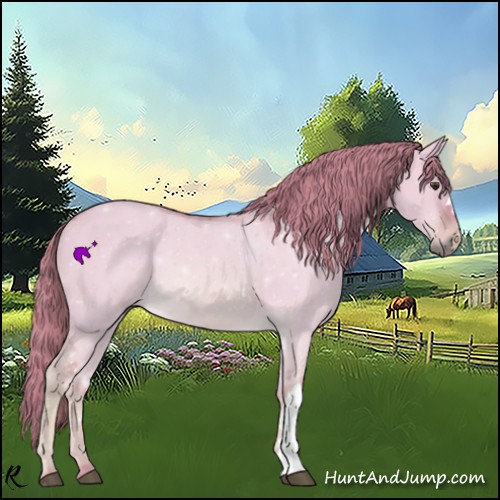 Horse Color:Watercolor Red Dun 