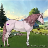 Horse Color:Watercolor Red Dun 