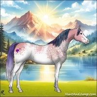 Horse Color:Watercolor White Spotted Buckskin 