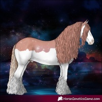 Horse Color:Watercolor Chestnut Splash 