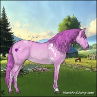Horse Color:Watercolor White Spotted Red Dun