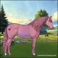 Horse Color:Watercolor Chestnut 