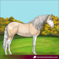 Horse Color:Silver Buckskin Pearl Splash 