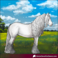 Horse Color:Gray Bay Varnish 