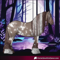 Horse Color:White Spotted Chocolate Grullo 