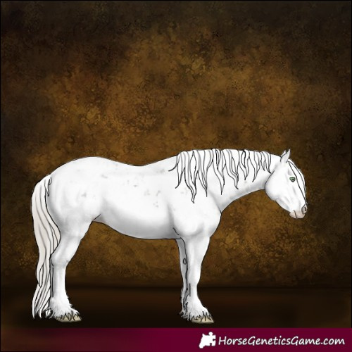 Horse Color:Silver Smoky Grullo Sabino 