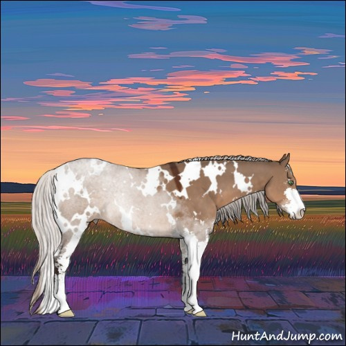 Horse Color:White Spotted Silver Brown Dun Sabino 