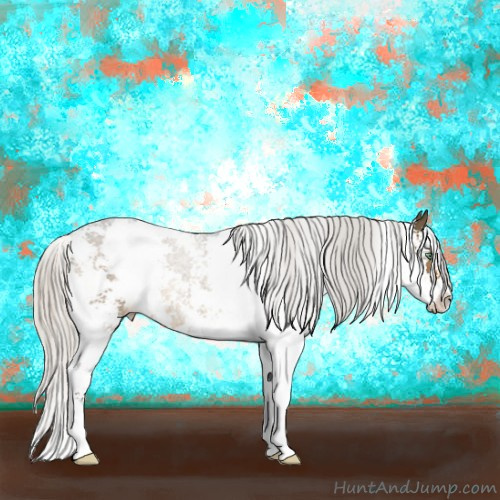 Horse Color:Silver Smoky Grullo Sabino 