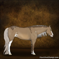 Horse Color:Silver Smoky Grullo Sabino 
