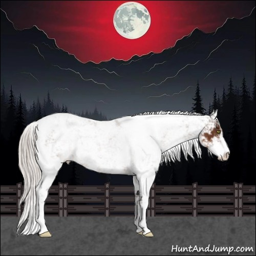 Horse Color:Silver Brown Sabino 