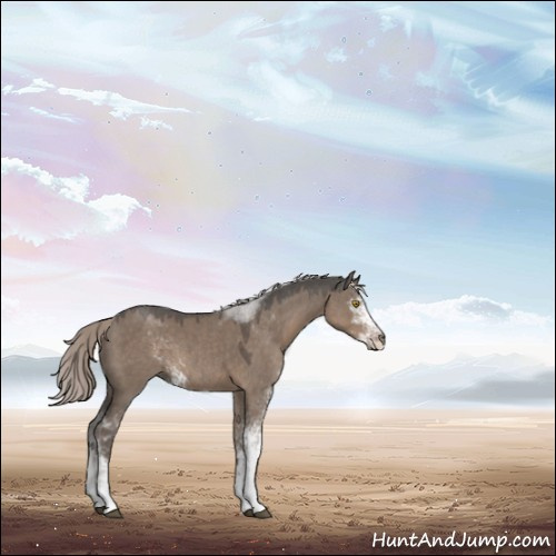 Horse Color:Silver Grullo Sabino 