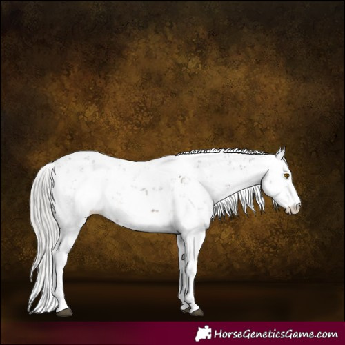 Horse Color:Silver Black Sabino 