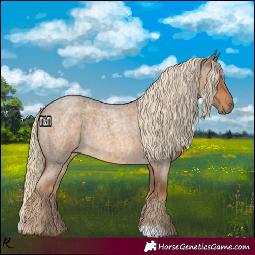 Horse Color:Chocolate Palomino Roan 