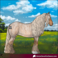 Horse Color:Chocolate Palomino Roan 