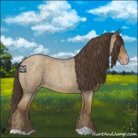 Horse Color:Classic Cream Champagne Roan 