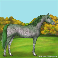 Horse Color:Watercolor Blue Onyx Chinchilla Ice Rabicano 