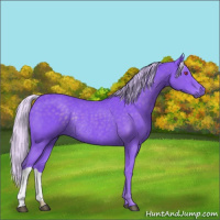 Horse Color:Watercolor Silver Smoky Black Chinchilla Rabicano 