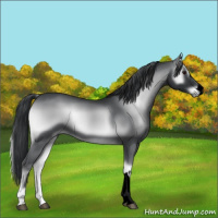 Horse Color:Void Blue Onyx Chinchilla 