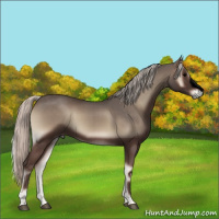 Horse Color:Void Silver Blue Onyx 