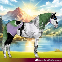 Horse Color:ERROR: UNKNOWN ANOMALY