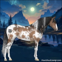 Horse Color:White Spotted Brown Dun 