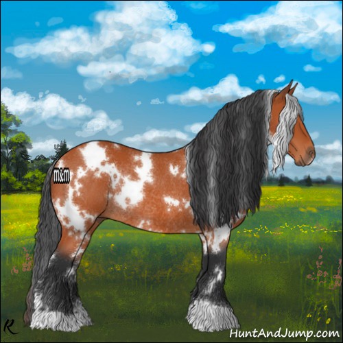 Horse Color:White Spotted Bay Rabicano 