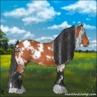 Horse Color:White Spotted Bay Rabicano 