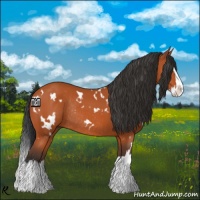 Horse Color:White Spotted Bay Splash Rabicano 