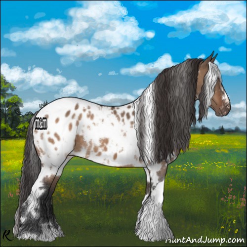 Horse Color:White Spotted Brown Dun Appaloosa