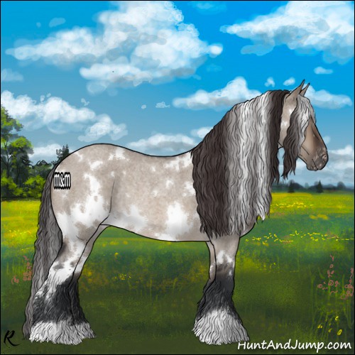 Horse Color:White Spotted Brown Roan Dun Varnish Rabicano
