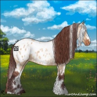 Horse Color:White Spotted Chocolate Bay Dun Appaloosa 