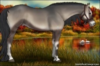 Horse Color:Blue Onyx 