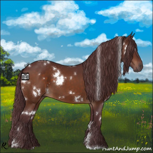 Horse Color:White Spotted Chocolate Bay