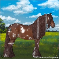 Horse Color:White Spotted Chocolate Bay 