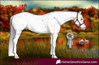 Horse Color:Liver Chestnut Sabino