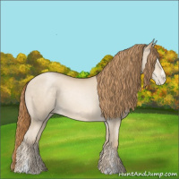 Horse Color:Smoky Black Pearl Sabino 