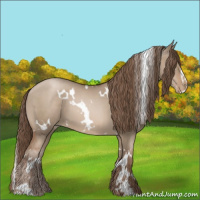 Horse Color:White Spotted Grullo Pearl Sabino 