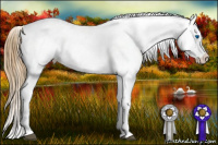 Horse Color:Chestnut Splash Frame Appaloosa 