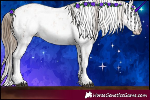Horse Color:White Spotted Liver Chestnut Pearl Sabino Varnish Rabicano