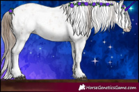 Horse Color:White Spotted Liver Chestnut Pearl Sabino Appaloosa Rabicano